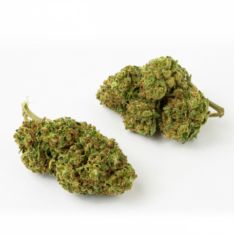 gelato